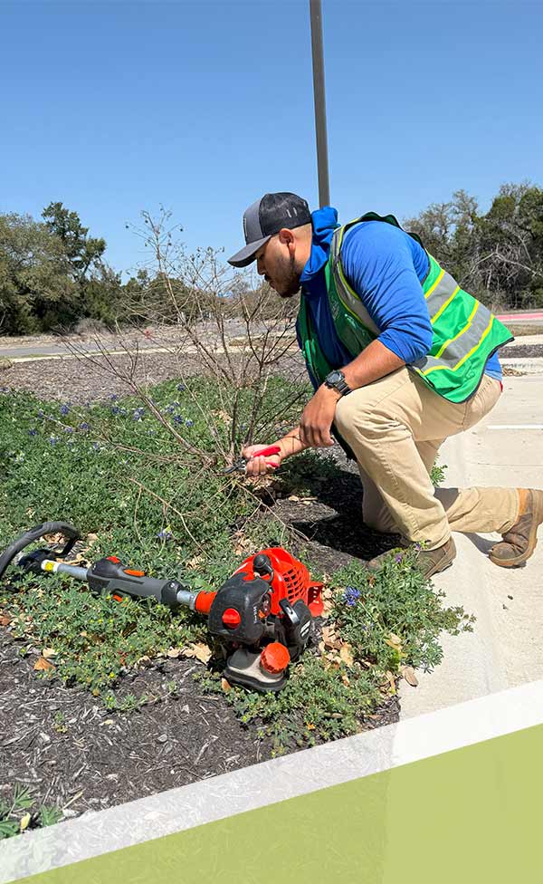 HOA Landscaping Expert Managing a Property