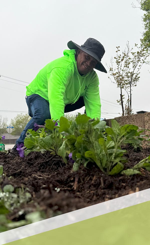 Local Austin irrigation system is regularly checked and maintained