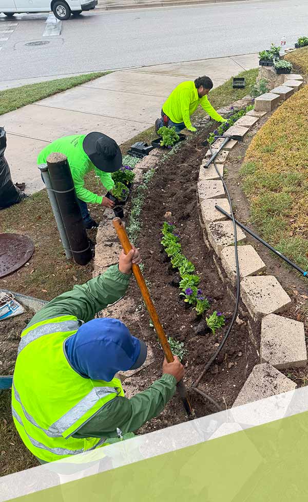 Expert Landscape Designers Creating a Sustainable and Functional Outdoor Space