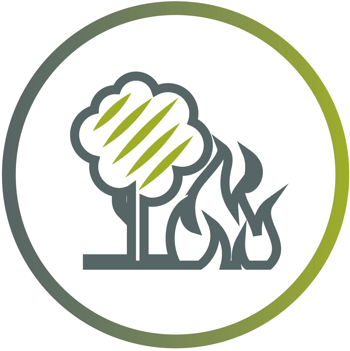 Wildfire Mitigation