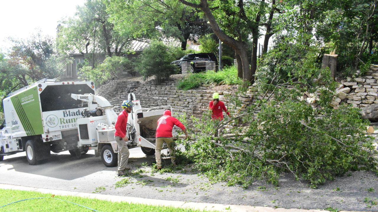 Tree staff putting large branches in chipper