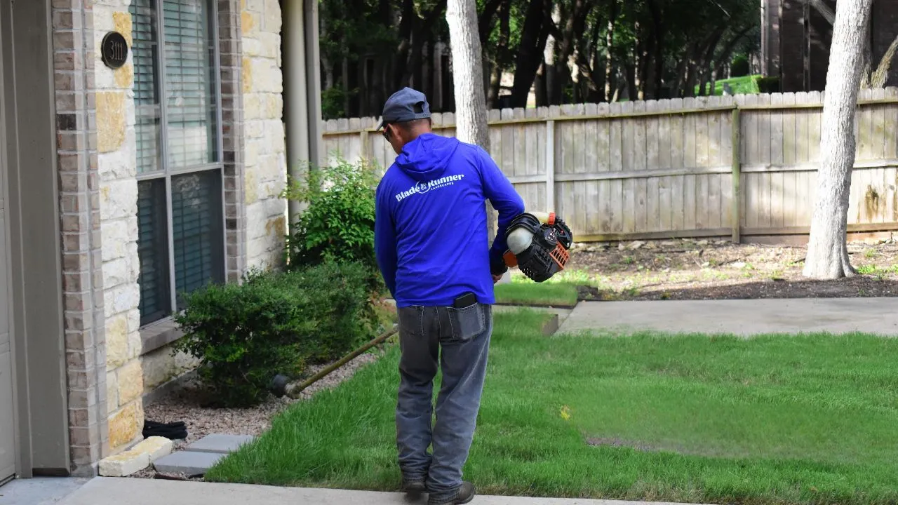 Man with weed whipper trimming grass along edging of landscaped yard