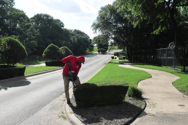 Landscaper trimming hedge on boulevard of HOA property in Austin, TX
