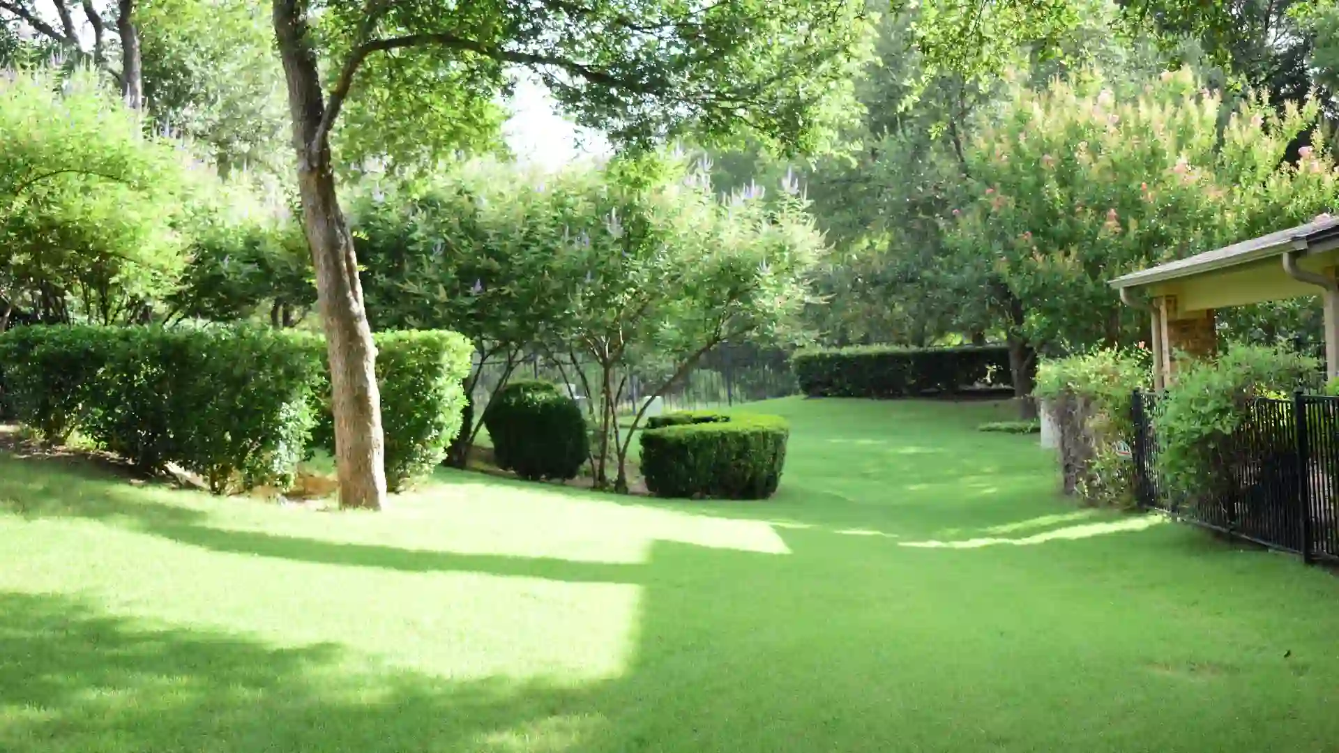 Lush freshly manicured green lawn and hedges